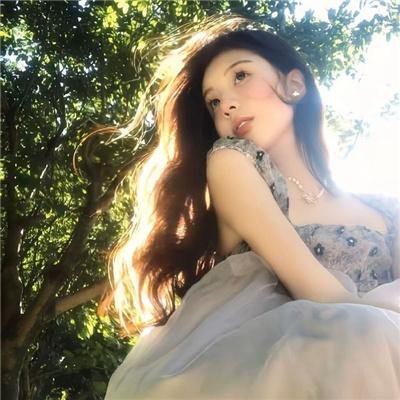 风流大盗封面